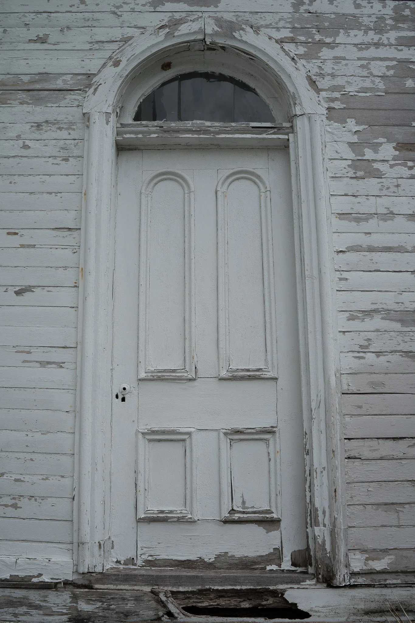 DSC02262.jpg