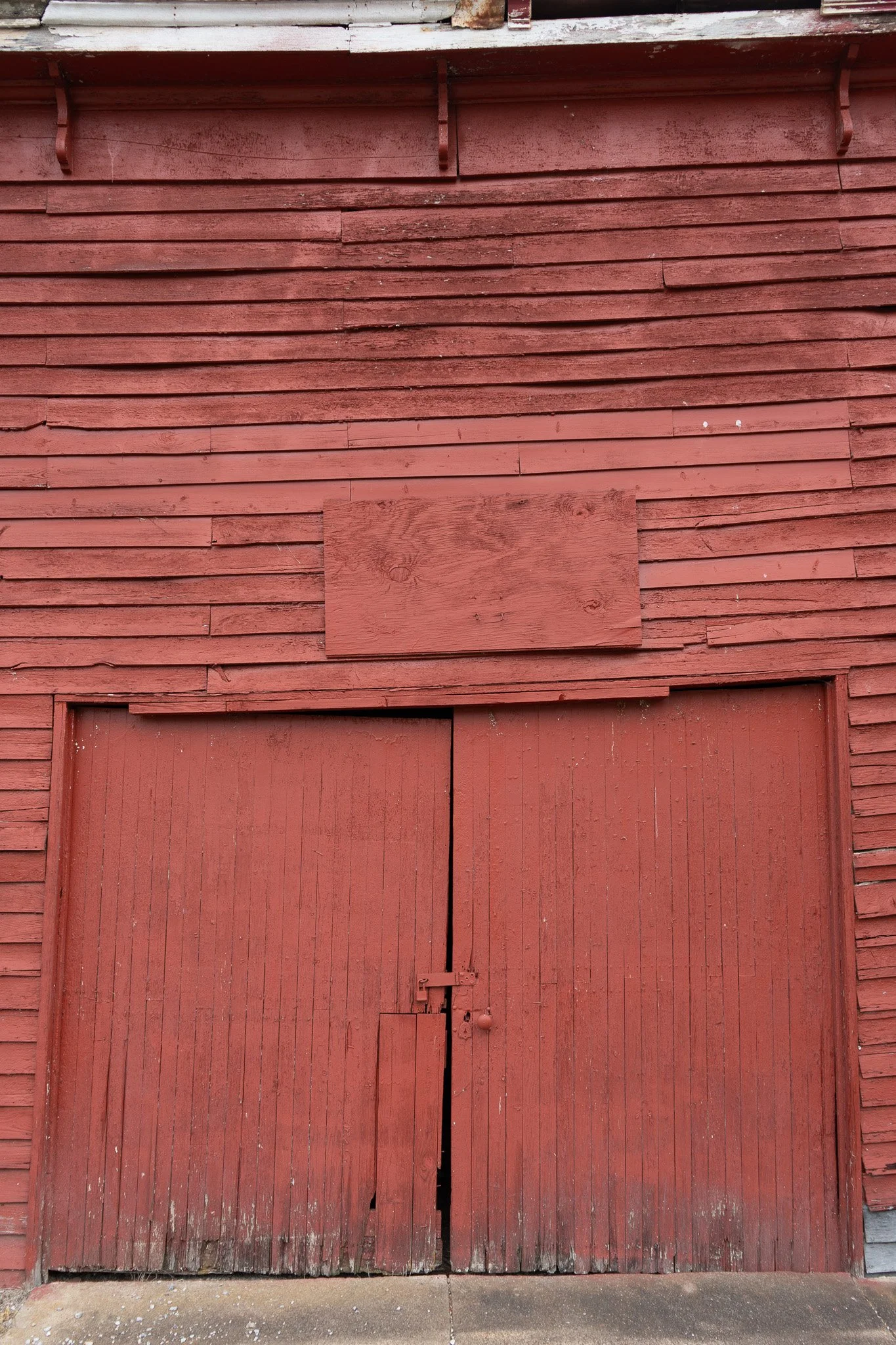 DSC02251.jpg