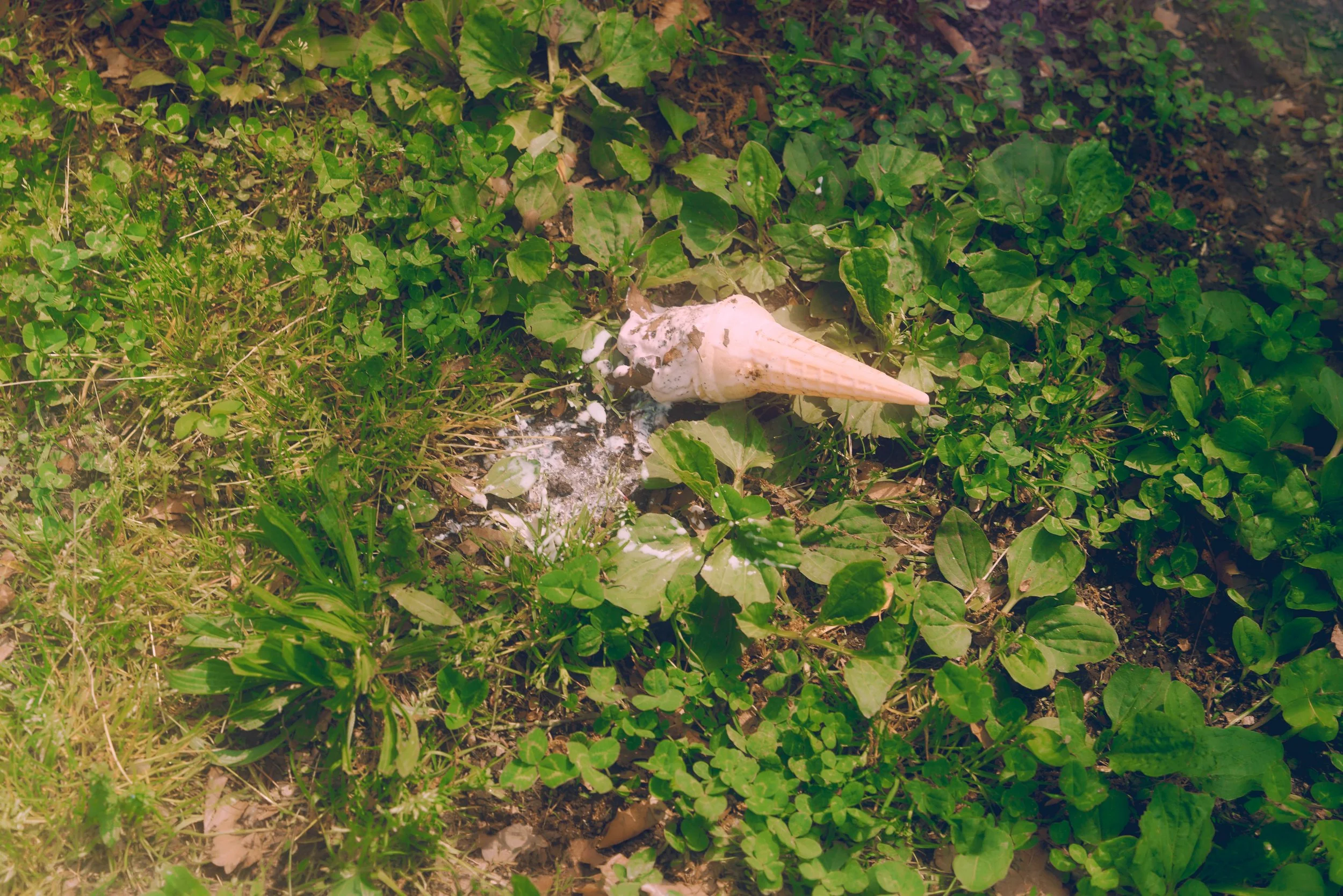 _DSC3820.jpeg