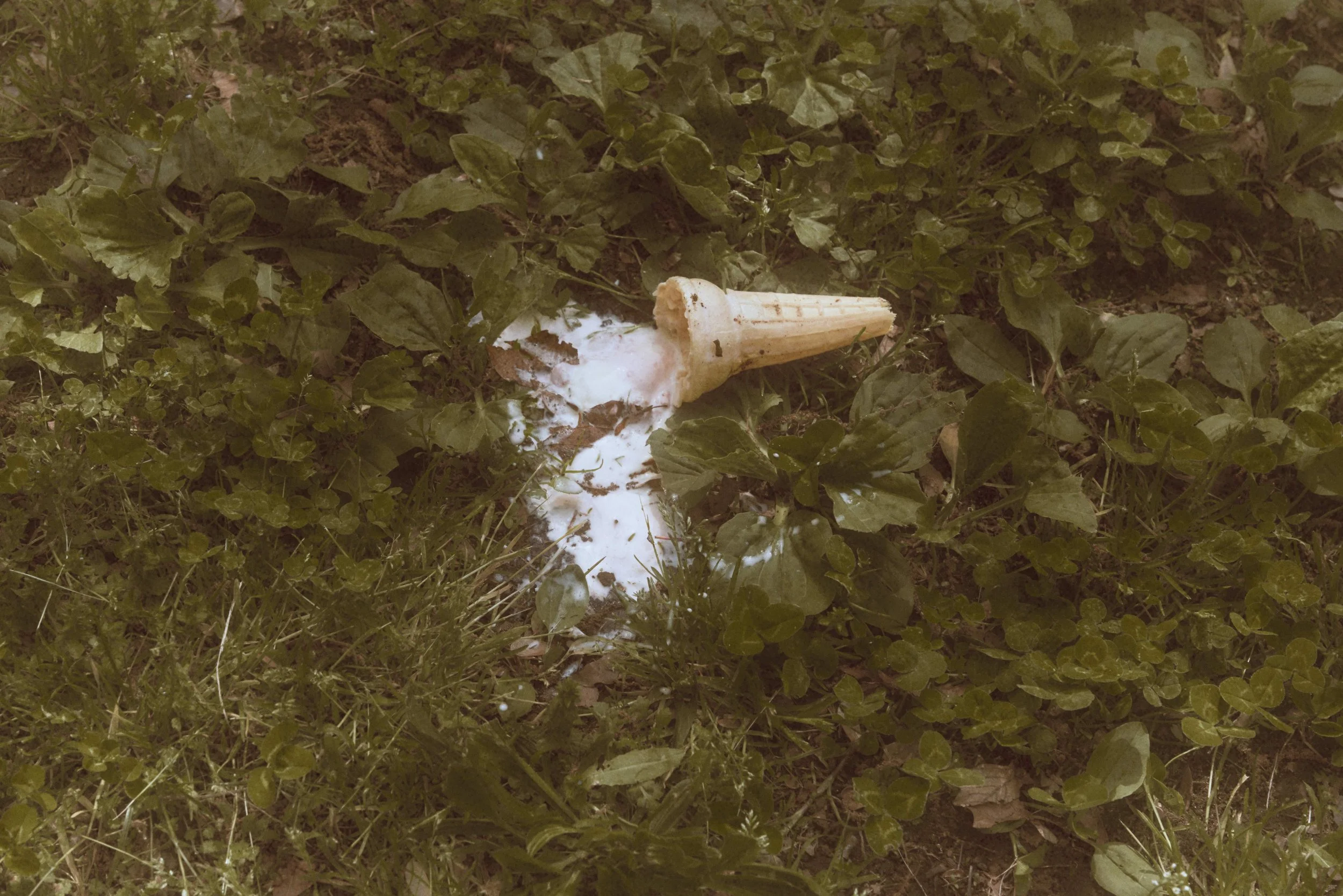 Creative direction by me and Hannah Zimmerman;
Shot by Hannah Zimmerman