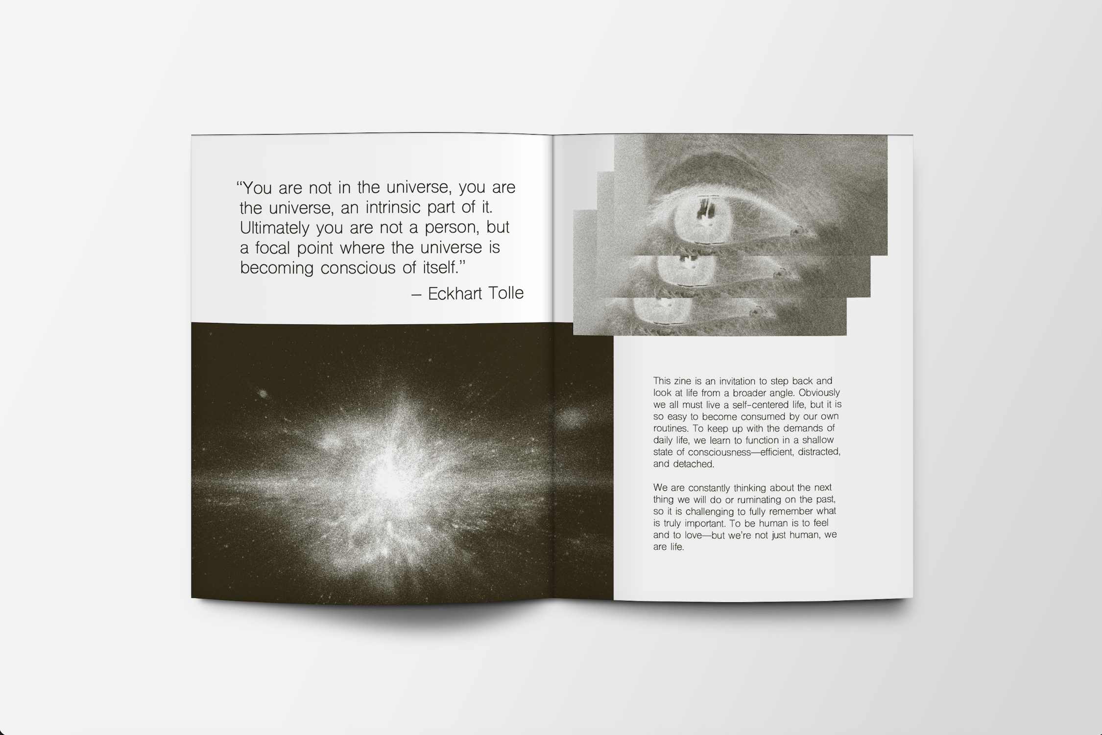 Screenshot 2026-02-19 at 10.40.24 PM.png