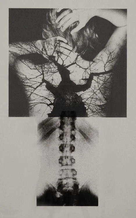 angela young plate stone lithograph.jpeg