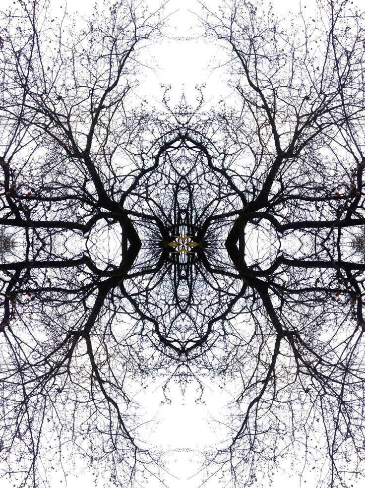 _Winter Tree_, Copyright_ Frauke König.jpeg