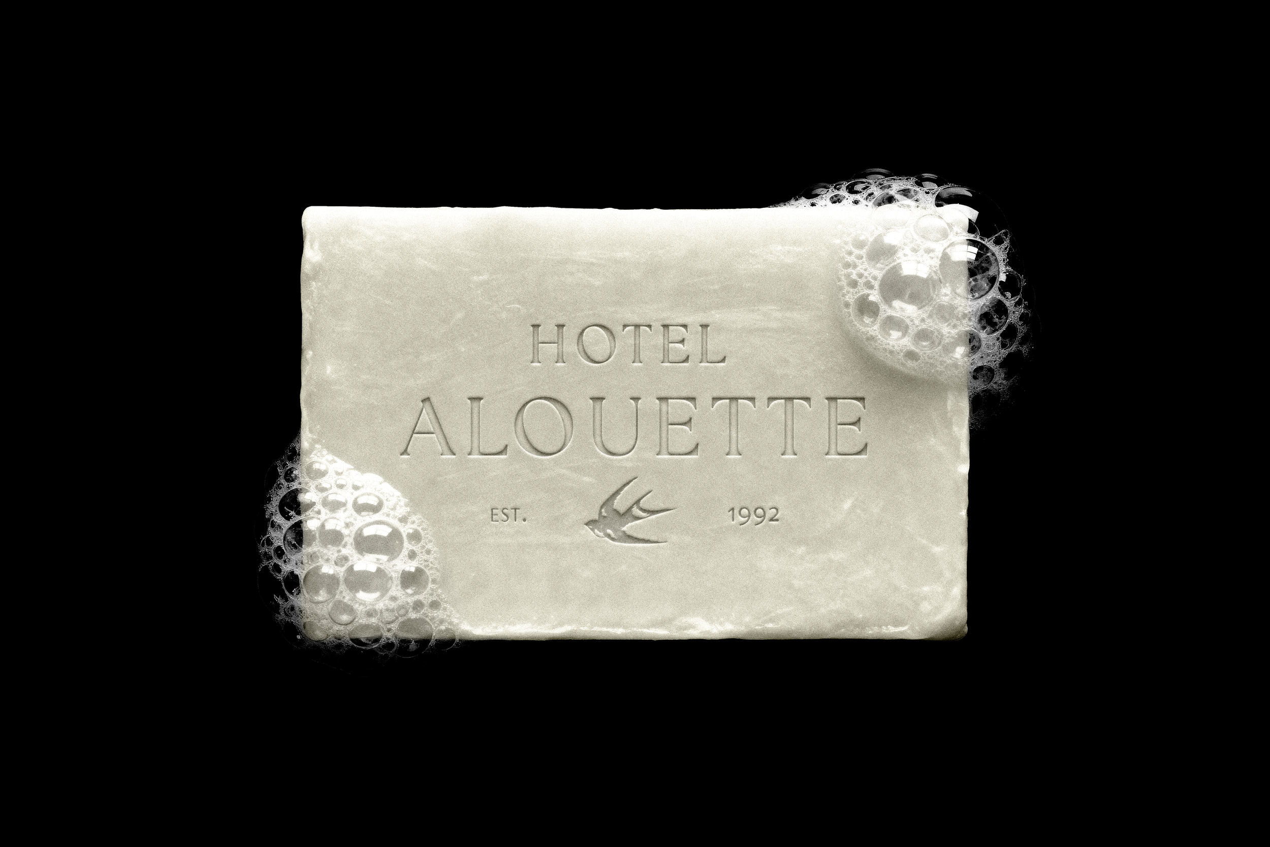 AlouetteSoap.png