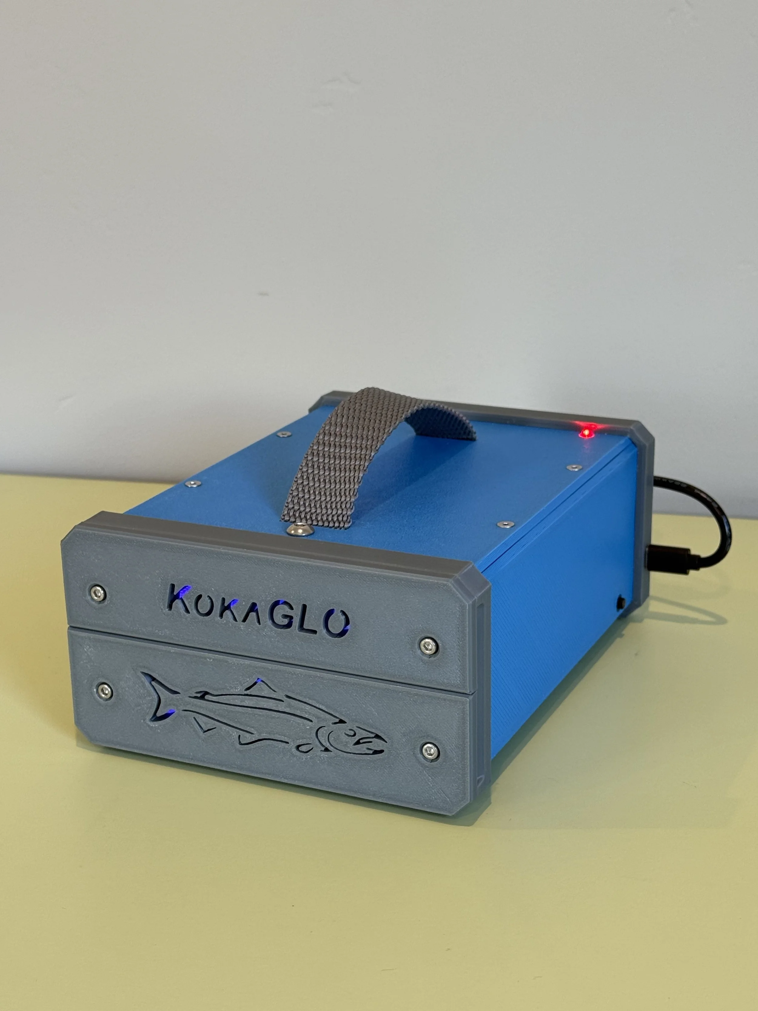 fishing tackle glow box