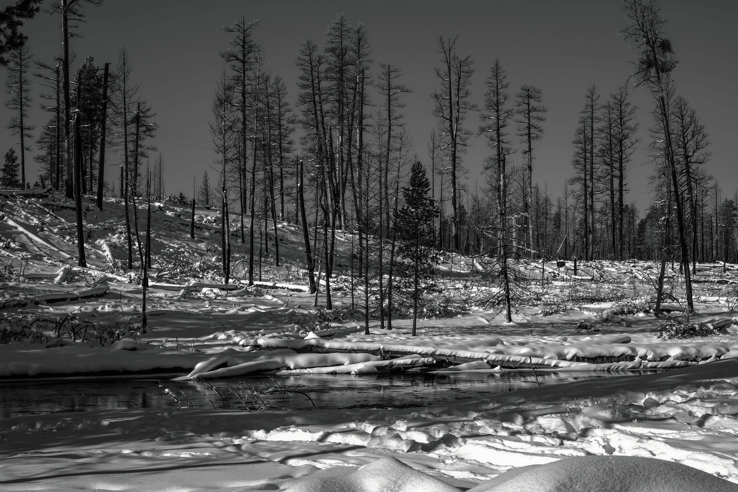 New Year's Snow
