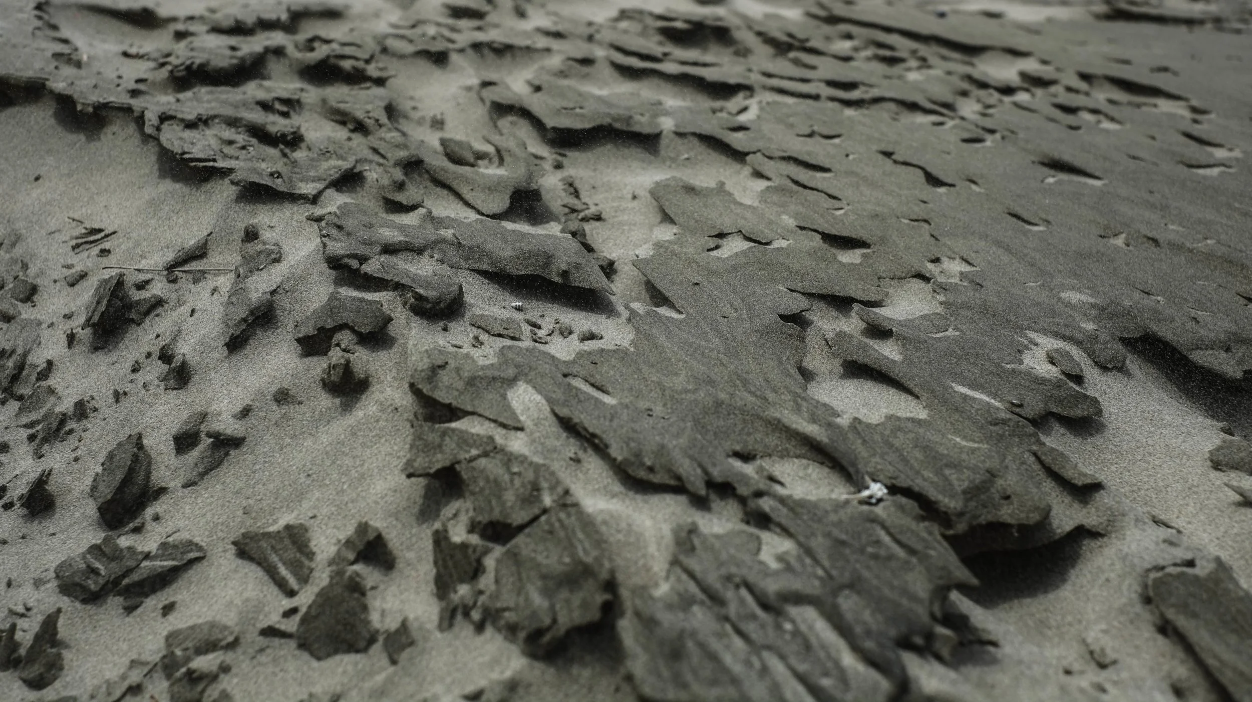 Windblown Sand