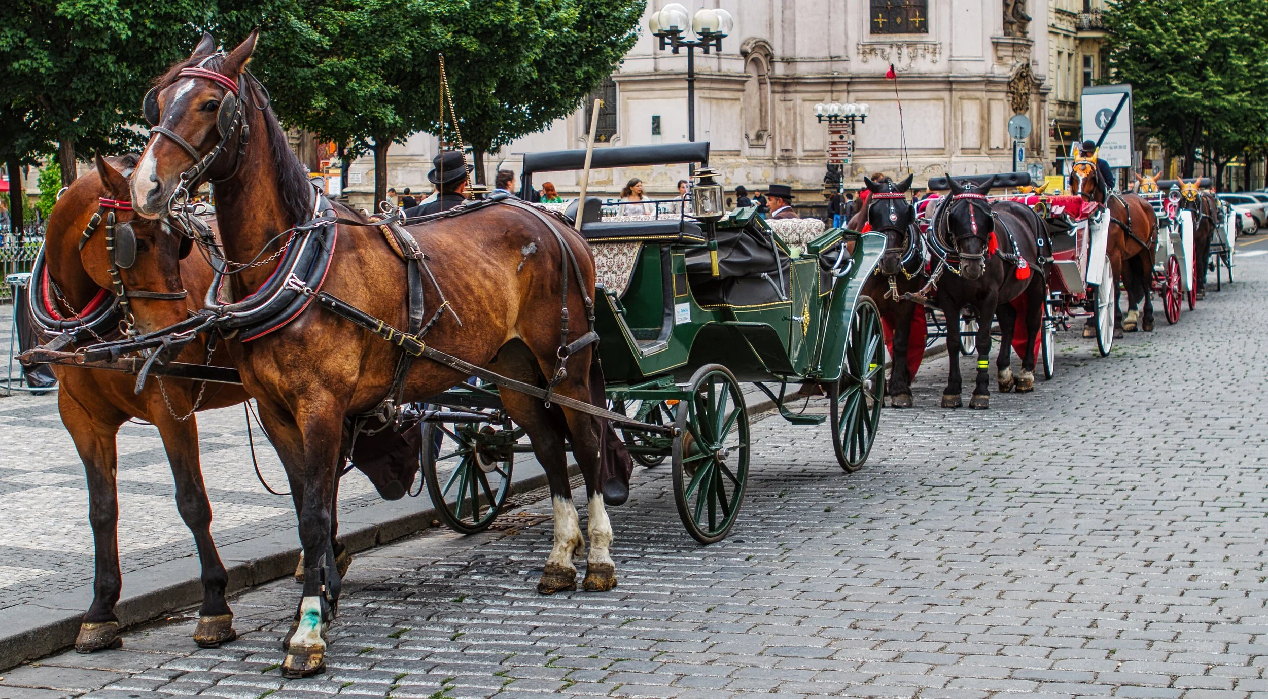 Horses_Of_Prague.jpeg