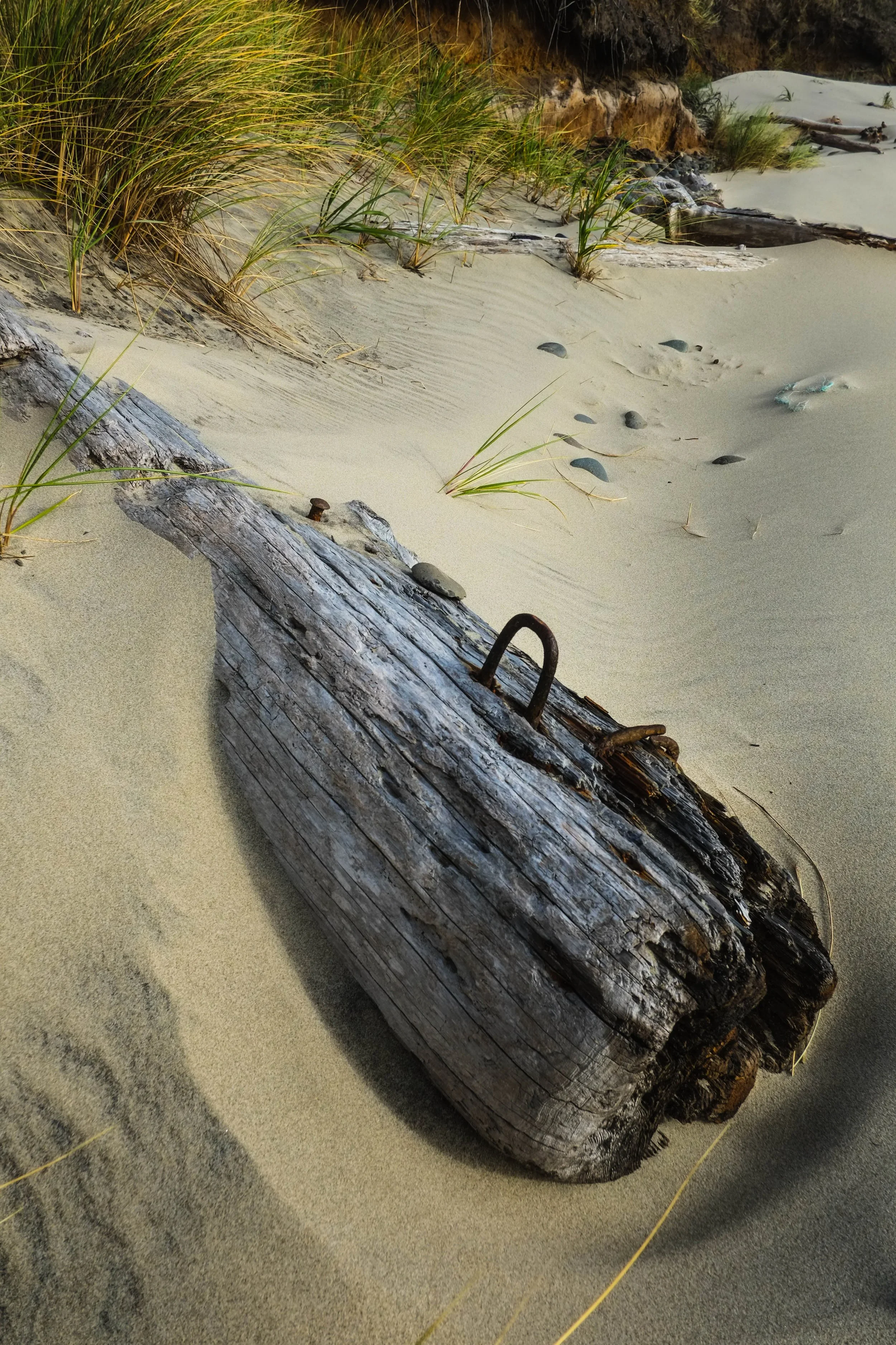 Driftwood