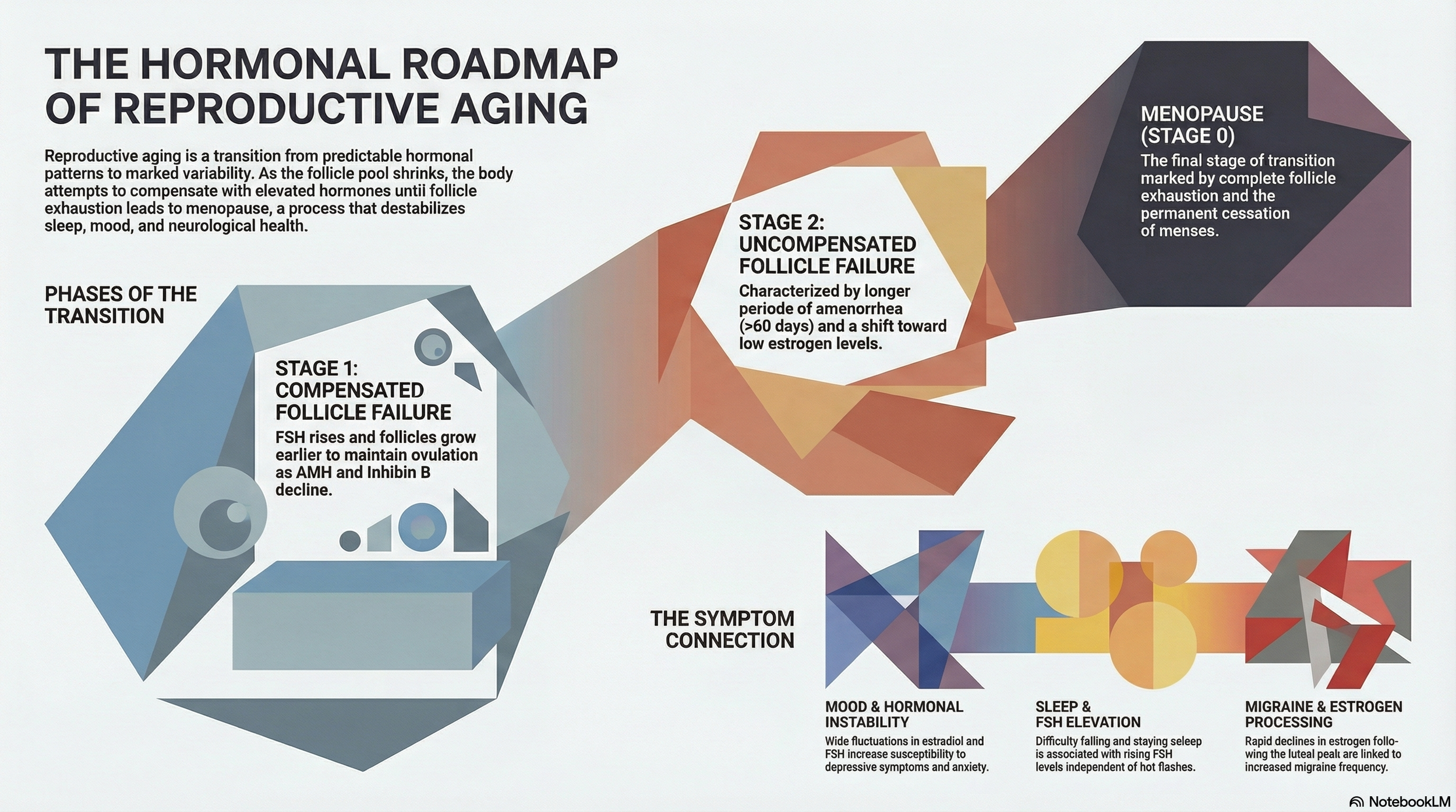The Chaos Has a Pattern: What's Really Happening to Your Hormones in Perimenopause
