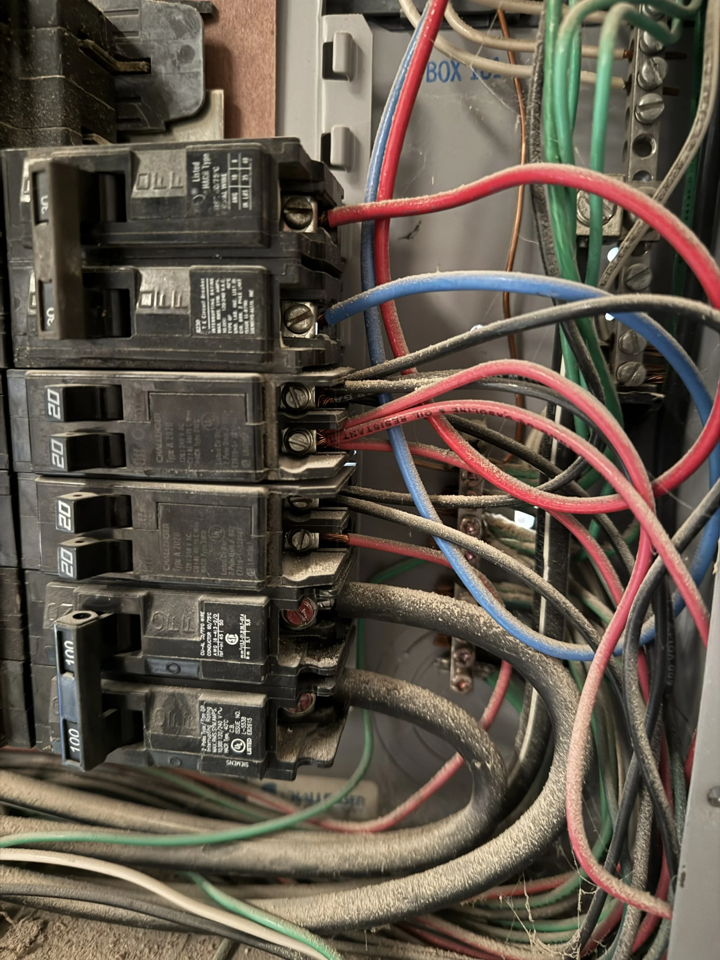 Close-up view of an electrical breaker box with various colored wires, including red, blue, green, black, and gray, connected to circuit breakers and terminals, some of which are dusty and slightly dirty.