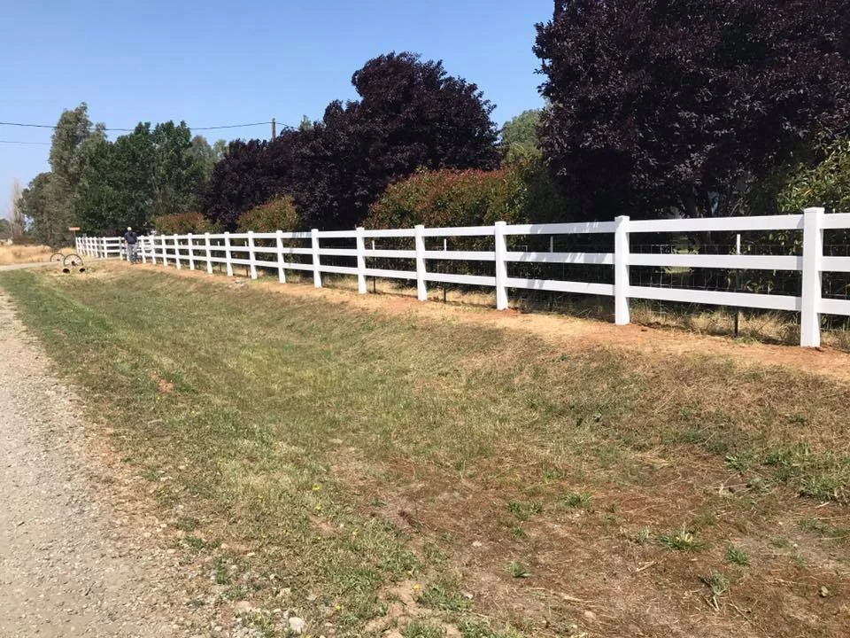 A white wooden fence running along the edge of a grassy yard, with trees and a person in the background on the left side.