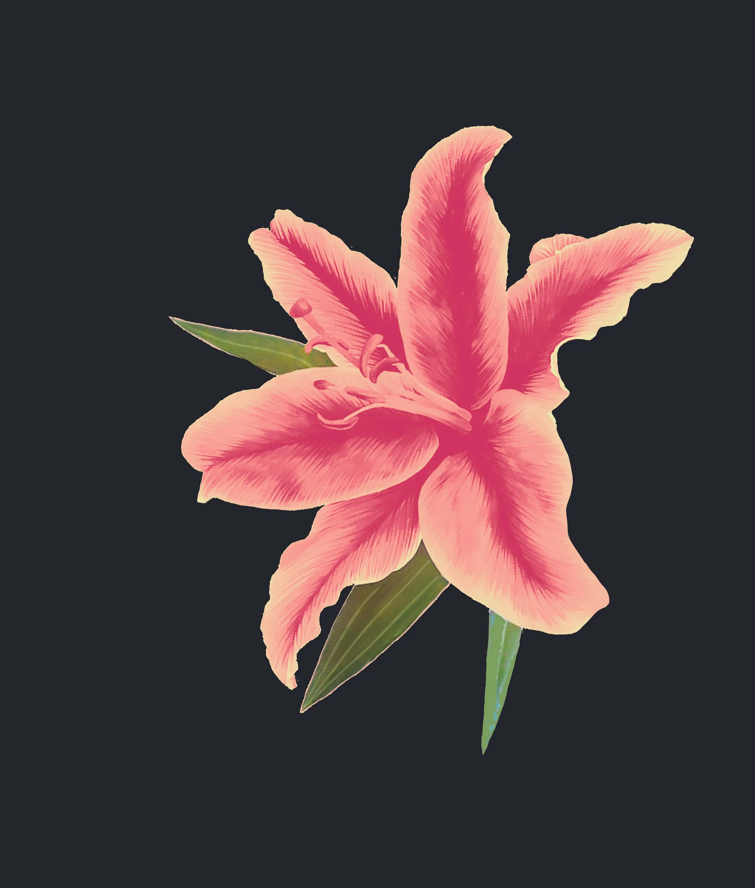 PEACH LILY DRESS.jpg