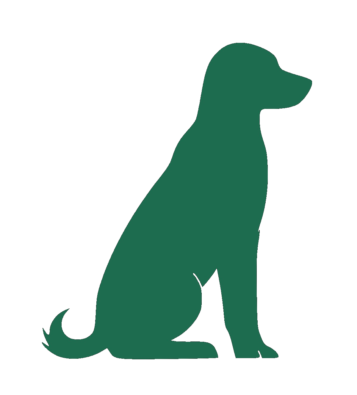 Silhouette of a sitting dog with a long tail and floppy ears, solid green color on a clear background.