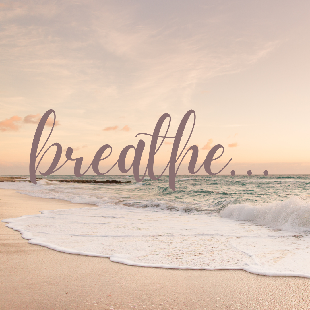 CH Portfolio - Socials 00.png