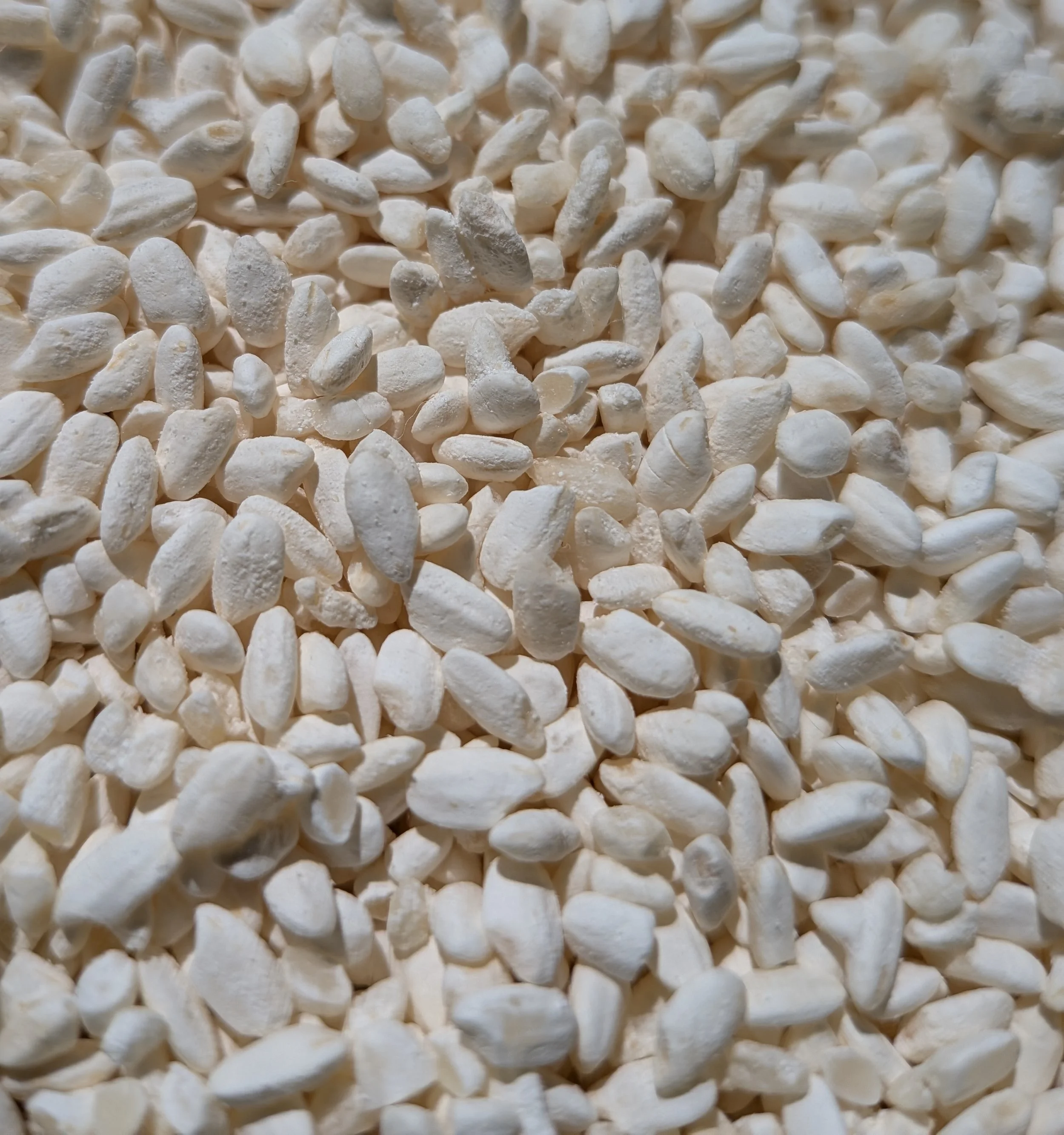 Using Dried Koji