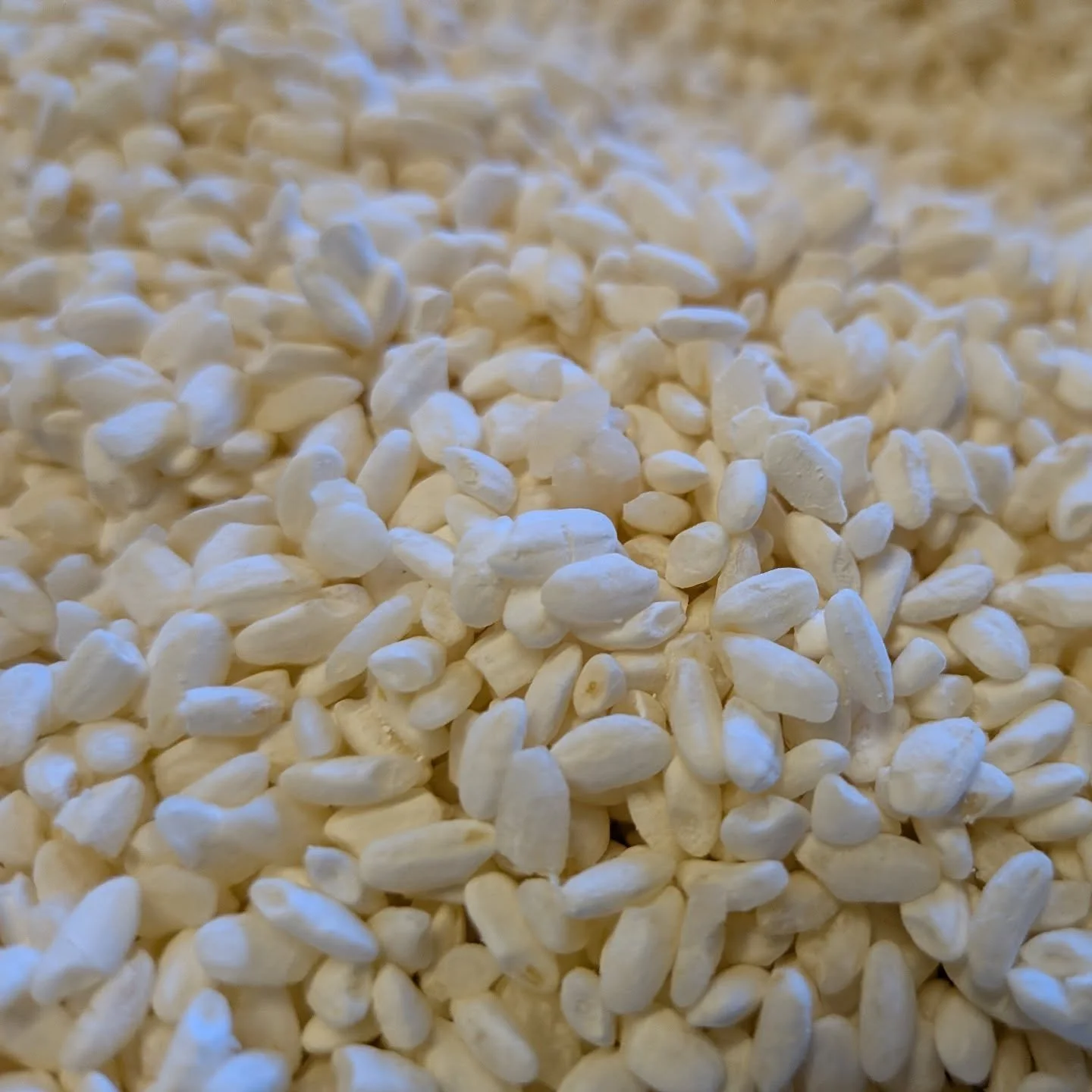 Hishiroku SR-108 on koshikiari rice