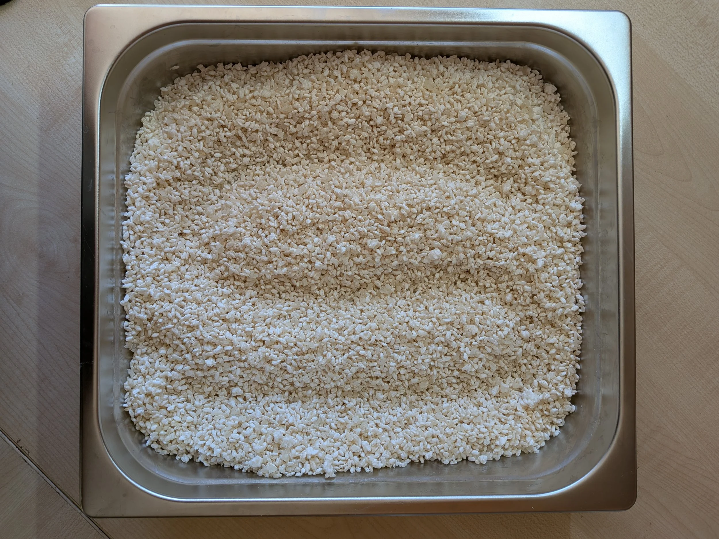 A metal tray filled with koji rice, seen from above