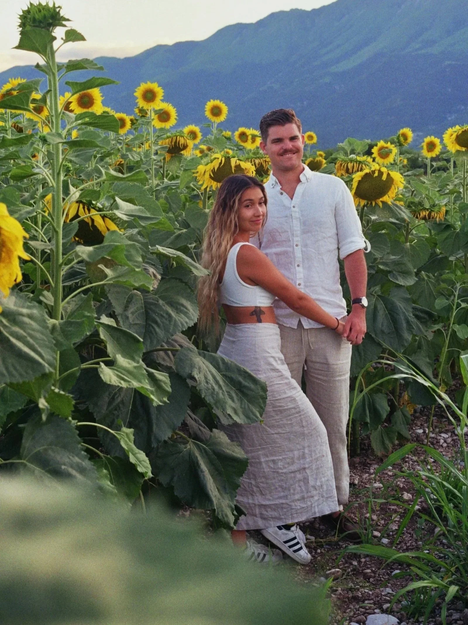 A young woman and man holding hands in a sunflower field with mountains in the background.