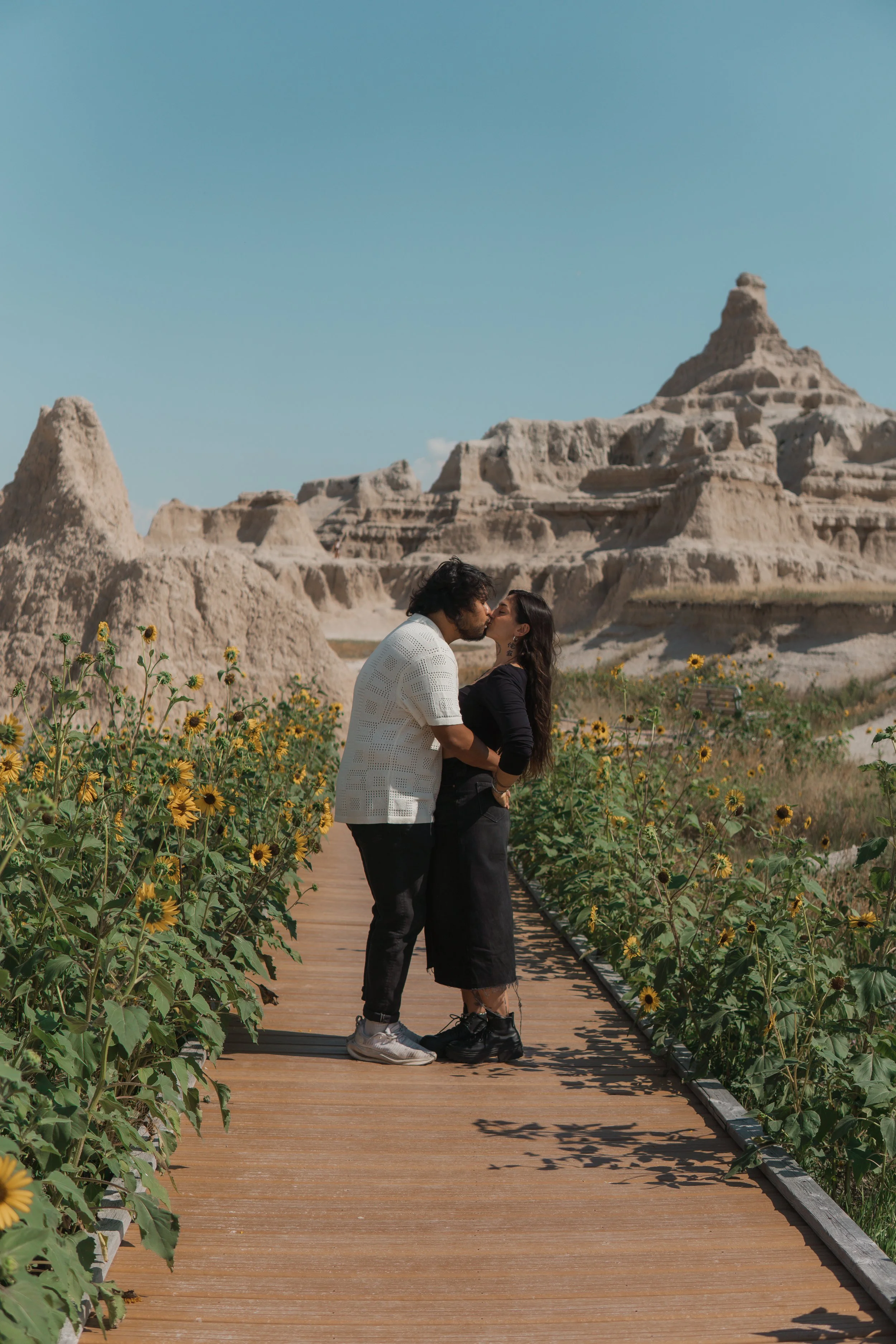 A couple Kiss on a wooden pathway surrounded by sunflower plants with a desert mountain landscape in the background.