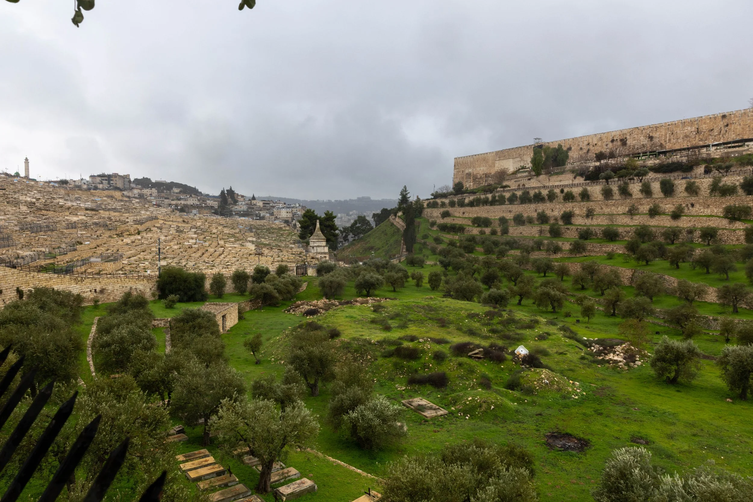 A view of an ancient city with stone walls and terraced hillsides, green grassy areas, and scattered trees on a cloudy day.