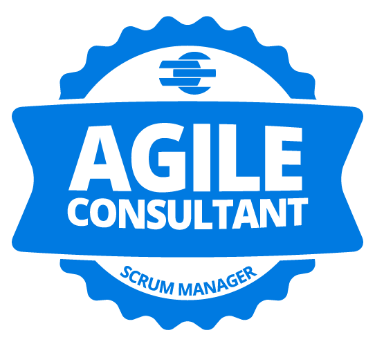 Agile Consultant Scrum Manager