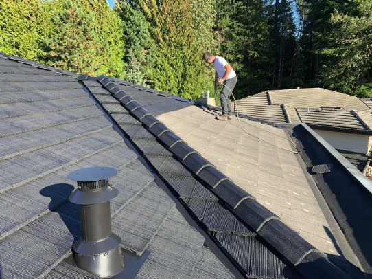 Roof tile painting.png