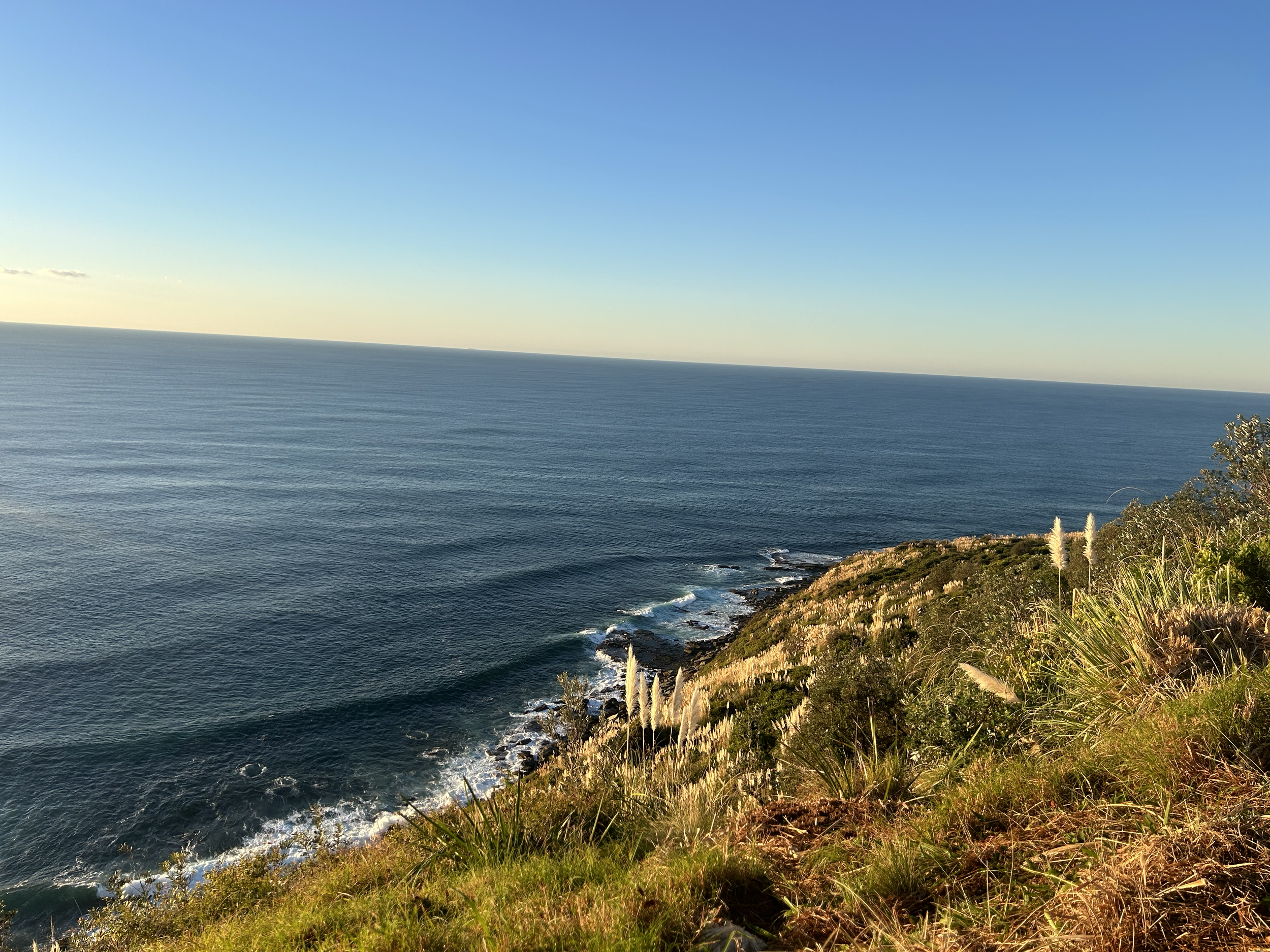 A scenic view of the ocean with a rocky coastline and green vegetation in the foreground, clear blue sky above.