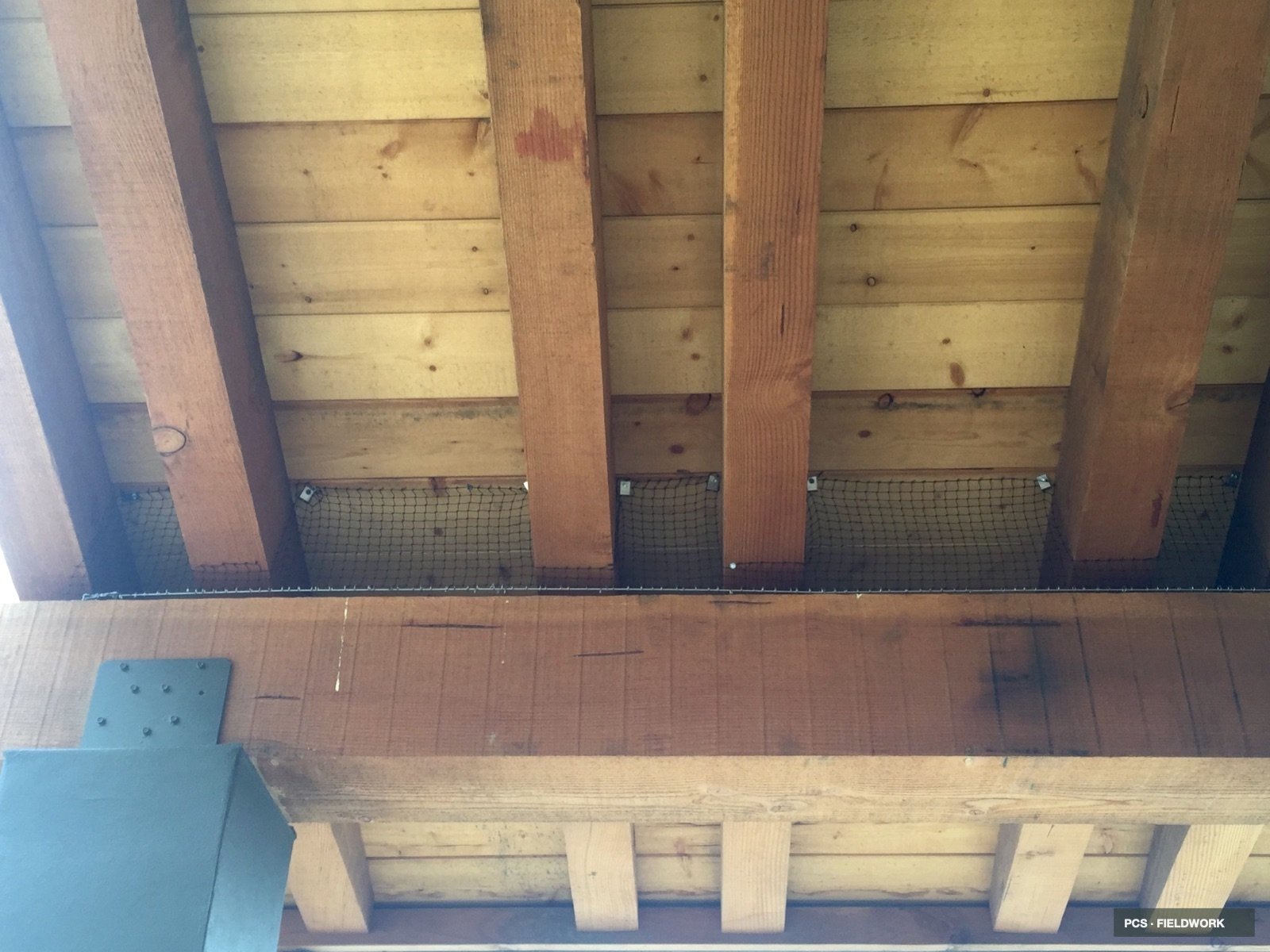 View of the underside of a wooden structure with horizontal and vertical wooden beams, some metal brackets, and a wire mesh at the bottom with a blue vertical support on the left.