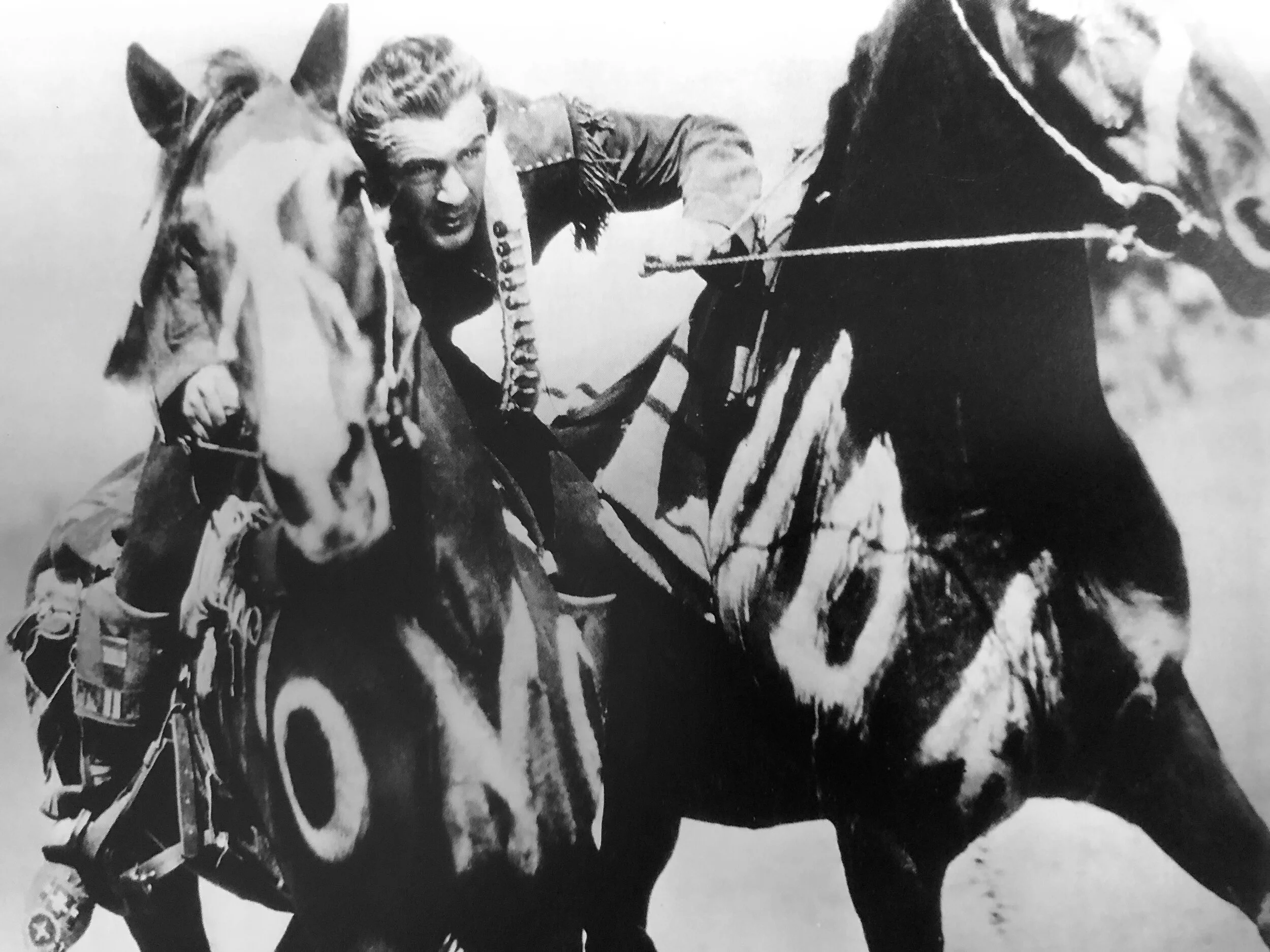 Photo Jan 19, 1 13 22 PM.jpg