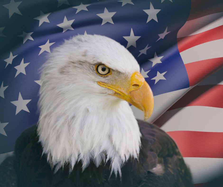 Eagle VIP Table $2500 + Service Fee $73