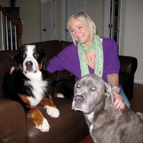A woman sitting on a brown leather couch with two dogs, a Bernese Mountain Dog and a gray pit bull, in a cozy living room.