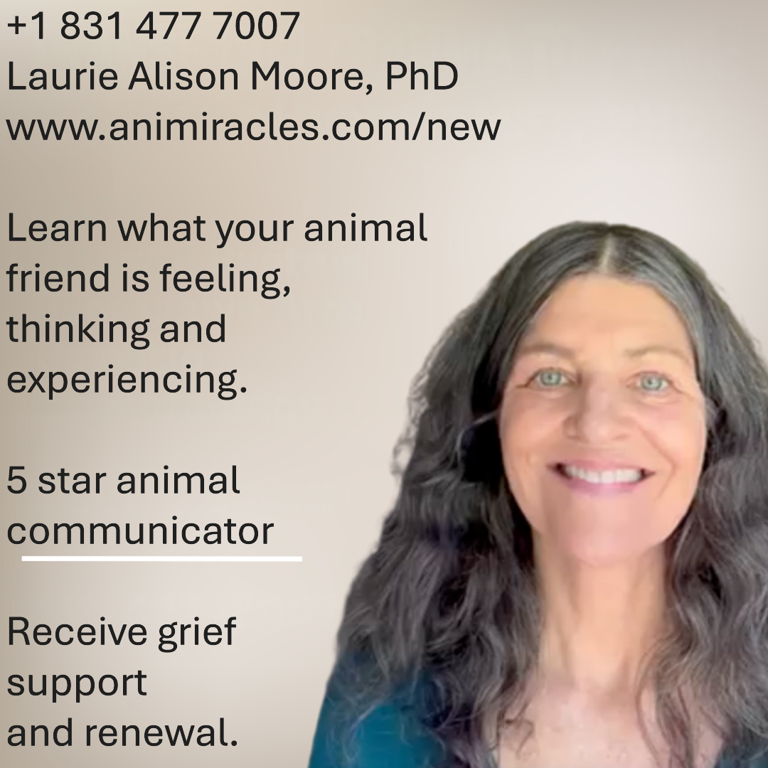 A promotional image featuring Laurie Alison Moore, PhD, with her contact information and a website link. The image includes a smiling portrait of Laurie with long, dark, wavy hair, and text describing her services as a five-star animal communicator who helps people understand their animals' feelings, thoughts, and experiences, and offers grief support and renewal.