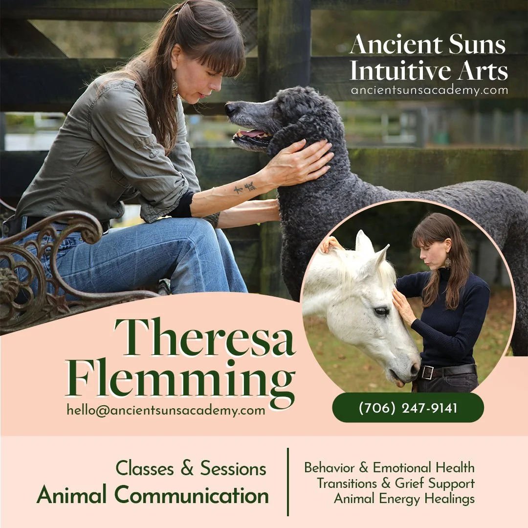 A woman petting a black poodle outdoors with a wooden fence in the background. An inset circular image shows the same woman petting a white horse. Text promotes Theresa Flemming and her animal communication classes and sessions, including contact information and services related to behavior, emotional health, transitions, grief support, and energy healings.