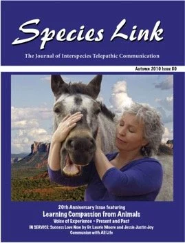 Cover of Species Link journal, showing a woman with gray hair petting a horse outdoors with a landscape and sky in the background.