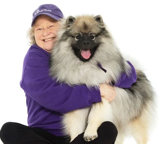 A woman hugging a large fluffy dog, both smiling. The woman is wearing a purple hat and jacket, and the dog appears to be a Keeshond or similar breed.