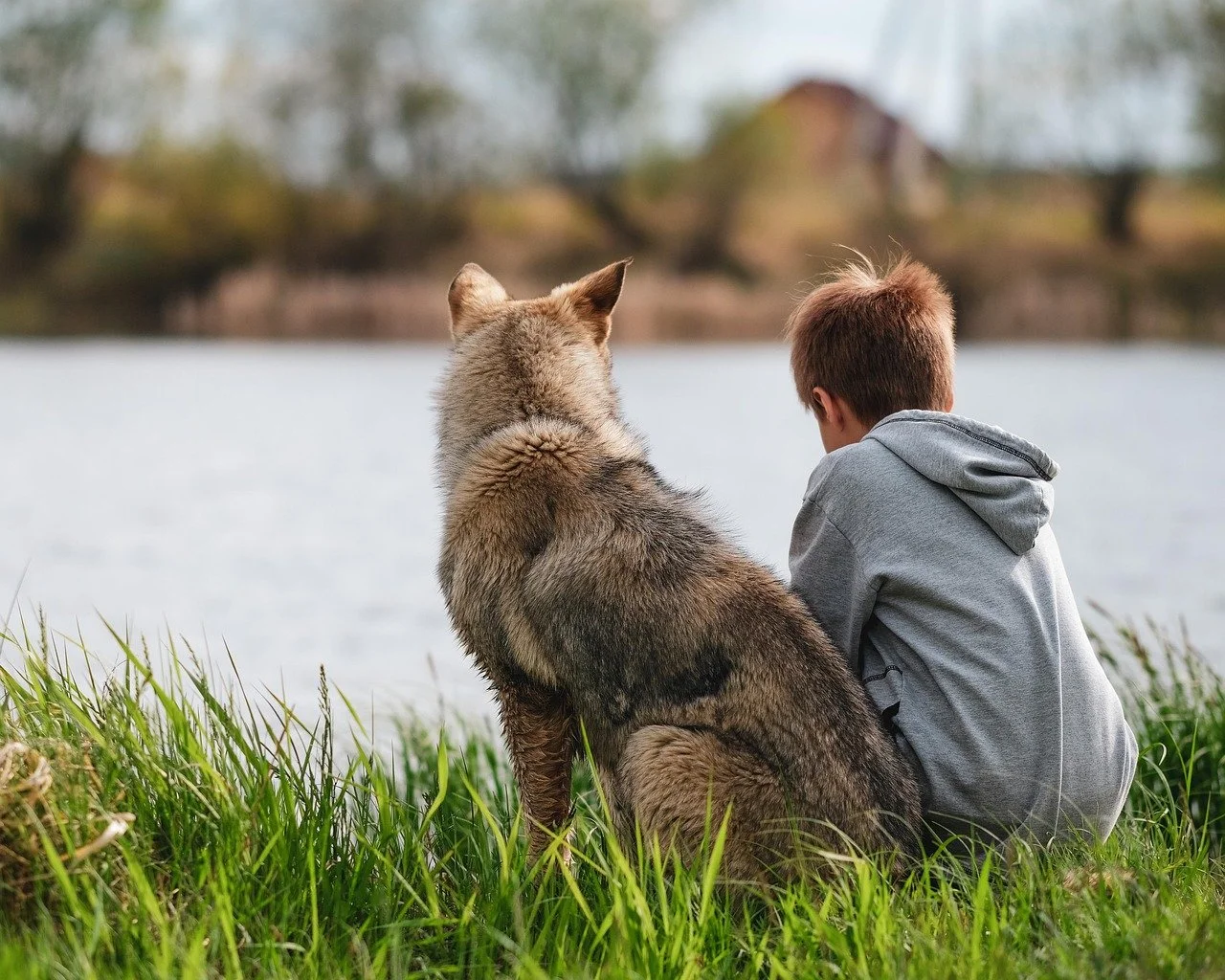 Beyond Hierarchies: A Lived Path Toward Unity with Life