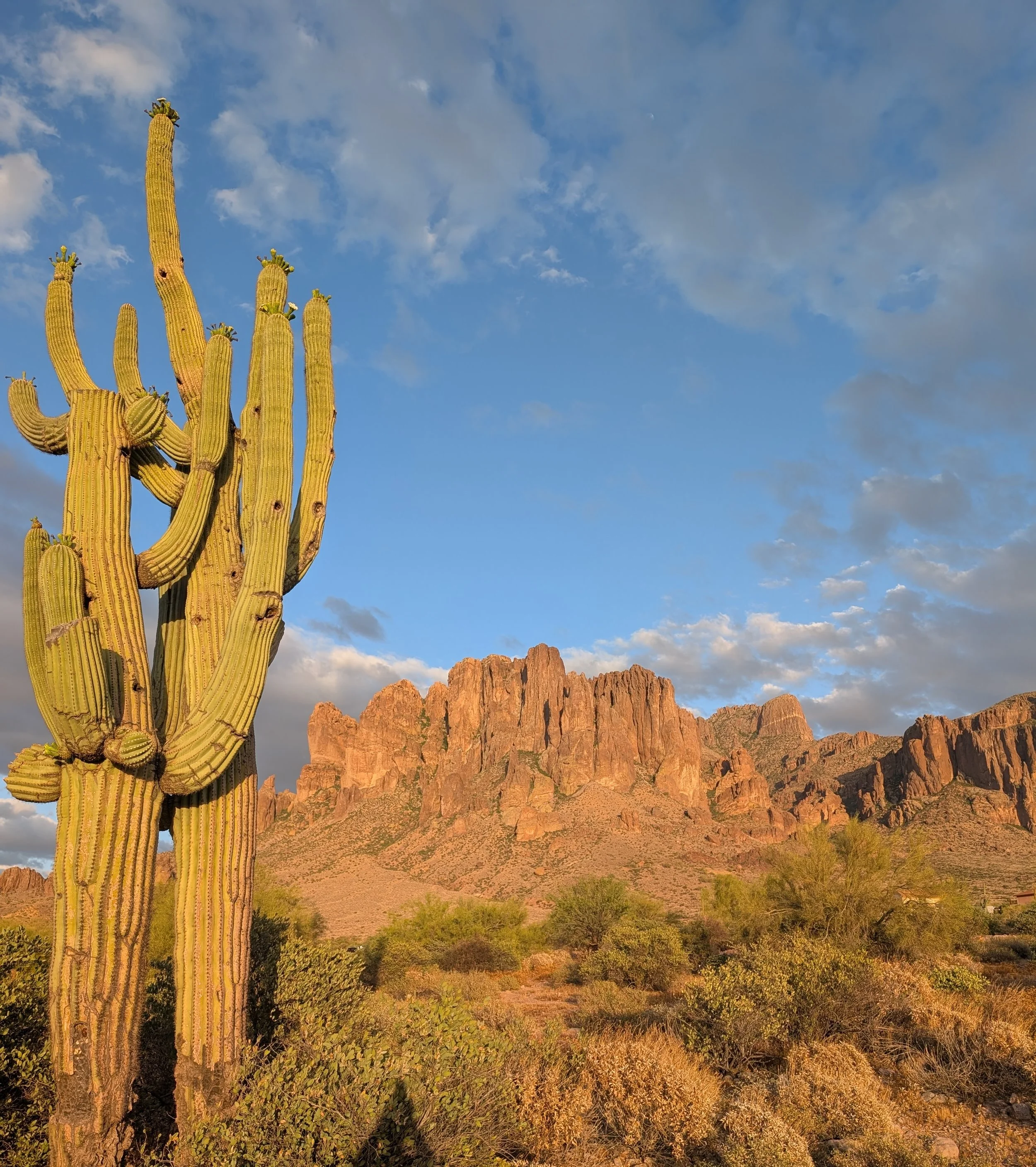 A Desert Wake-Up Call: When the Night Speaks and You Listen