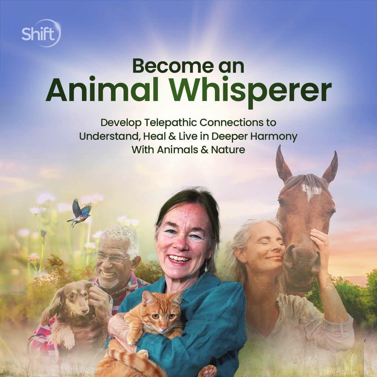 Book cover titled 'Become an Animal Whisperer' with images of smiling adults, a woman hugging a horse, a woman holding a cat, a man with a dog, and a hummingbird flying over a field of flowers at sunrise or sunset.