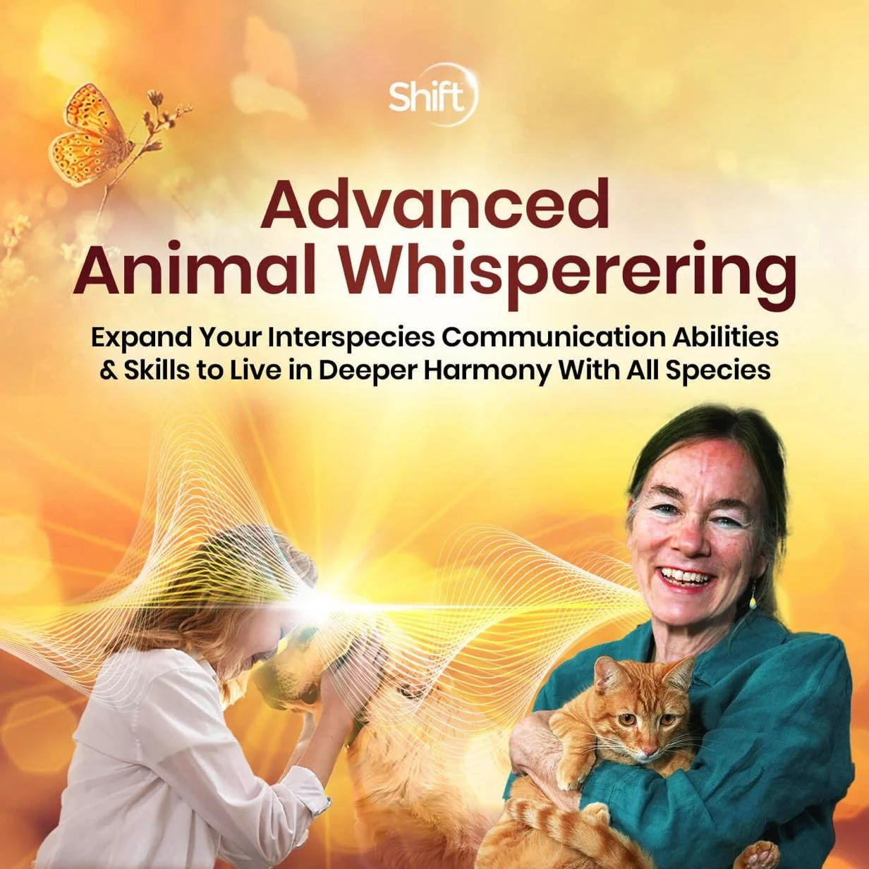 A promotional cover for a course titled "Advanced Animal Whispering" showing a woman holding an orange cat, a person looking through a magnifying glass, and a butterfly flying against a colorful abstract background with wave-like patterns.