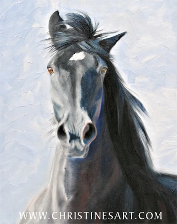 How Horses Feel About Humans