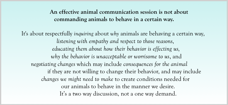 How to Use Animal Communication Effectively for Behavior Problems