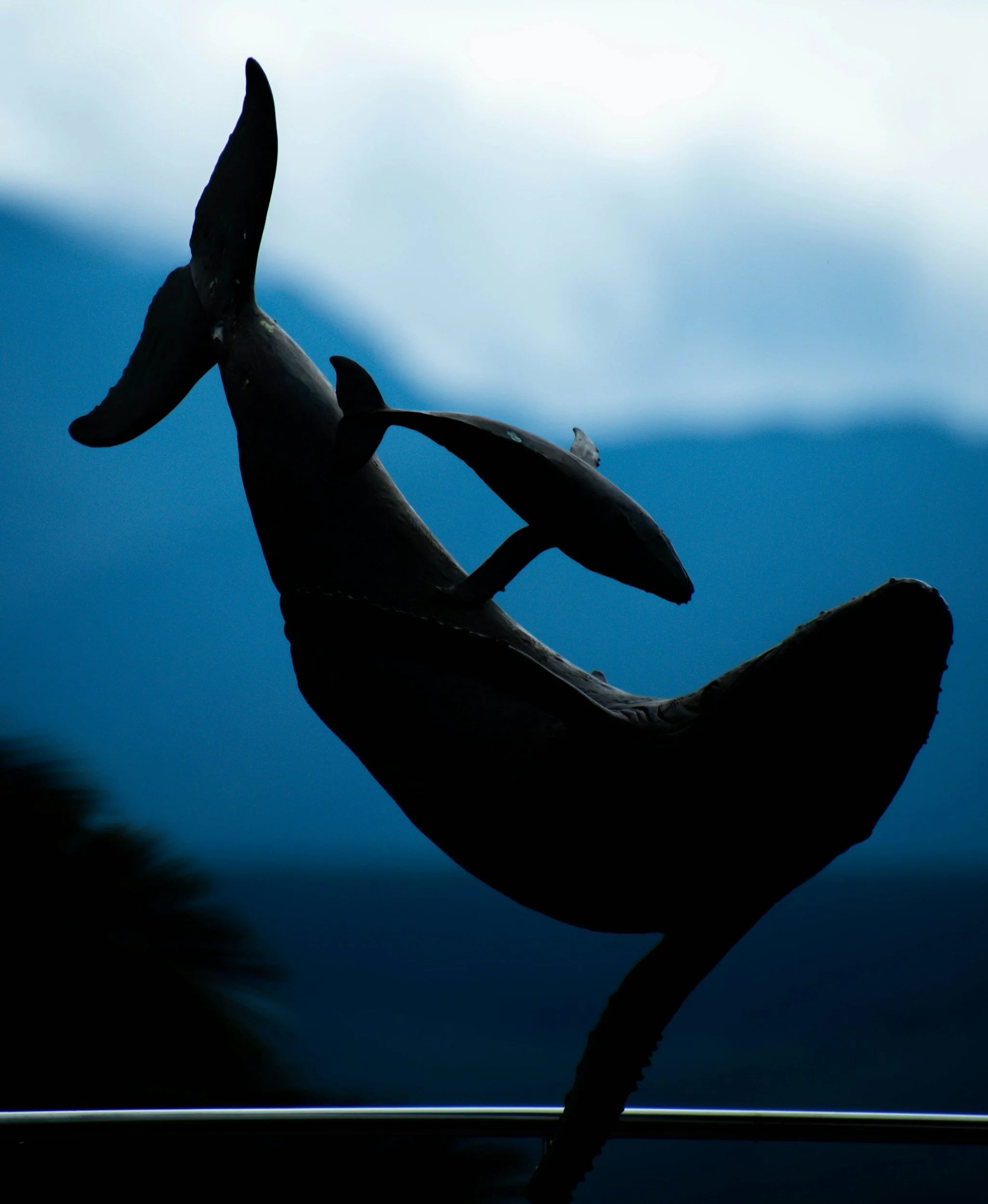 The Mission of a Whale Called Moon