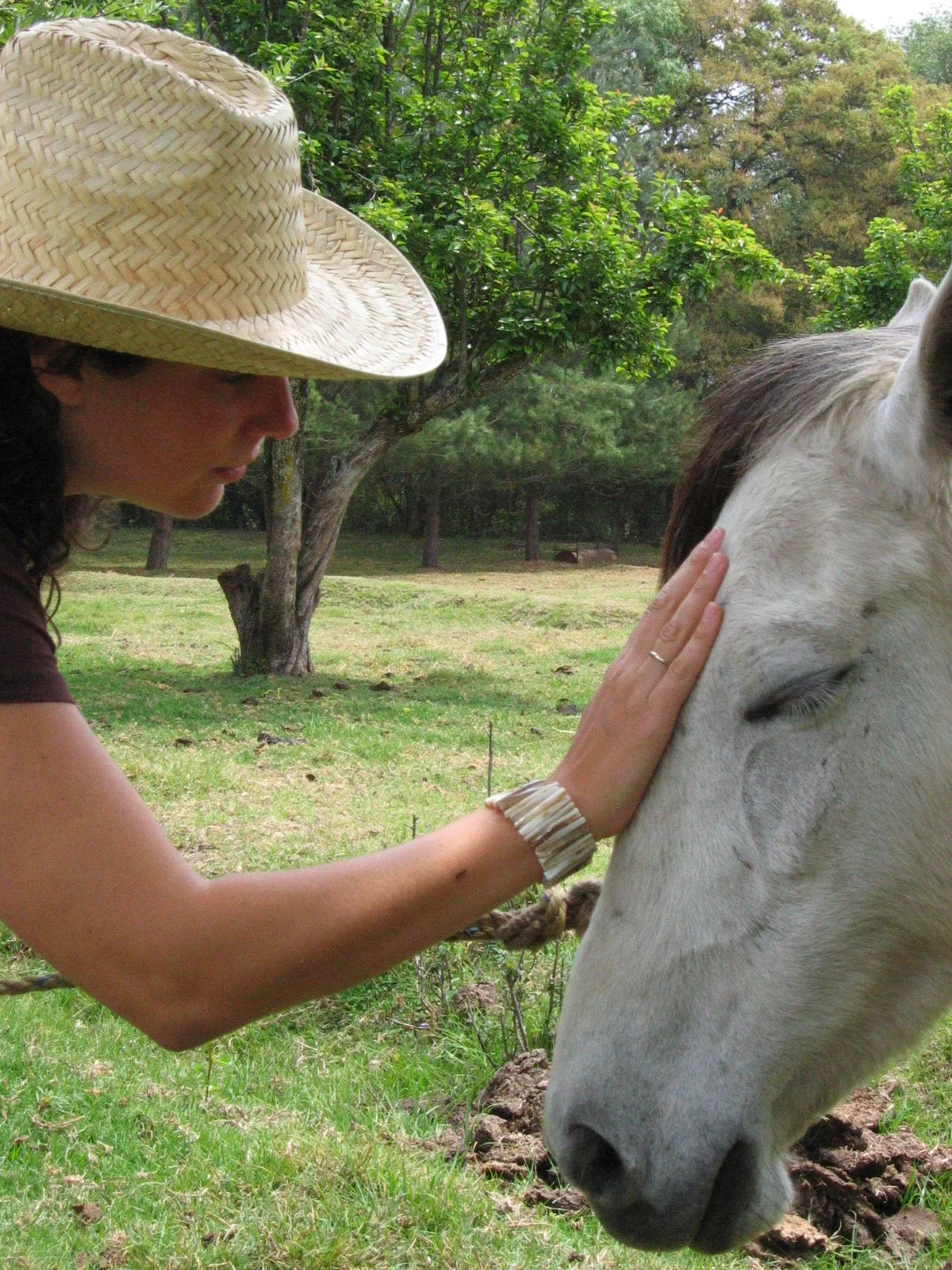 Sacred Kinship: The Spiritual Foundation of Interspecies Communication
