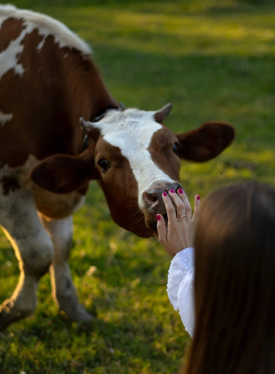 Becoming an Animal: Experiencing an Animal’s Perspective Through Telepathic Communication