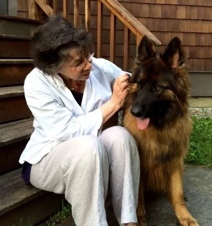 Woman sitting on outdoor wooden steps petting a large German Shepherd dog.