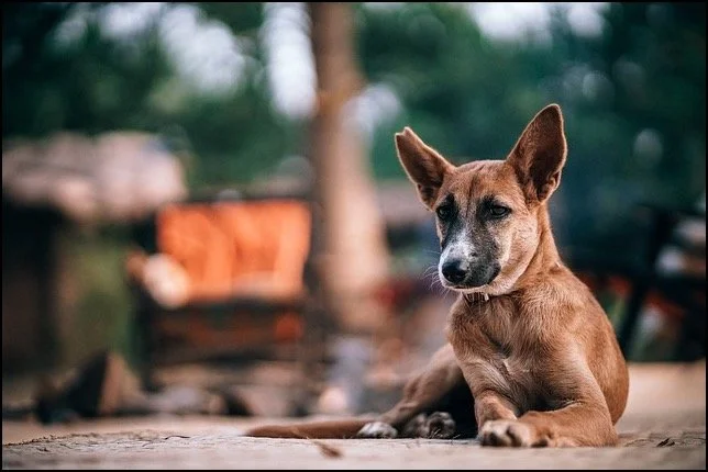 Does Caring Mean We Have To Hurt?