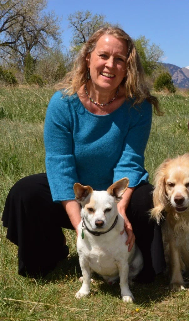 A woman smiling outdoors in a grassy field with two dogs, a white dog with brown ears and a tan dog with long fur.