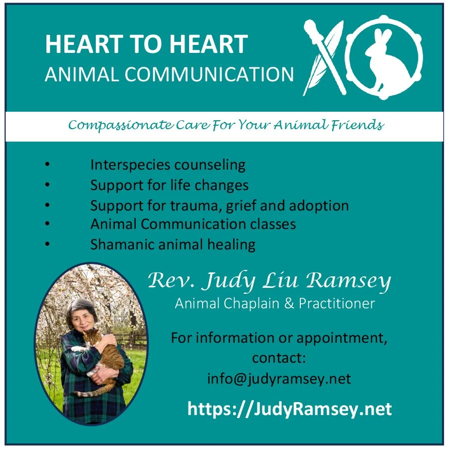Flyer for heart to heart animal communication services, featuring a woman hugging a cat, with services like interspecies counseling, trauma support, animal communication classes, and shamanic healing, provided by Rev. Judy Liu Ramsey.