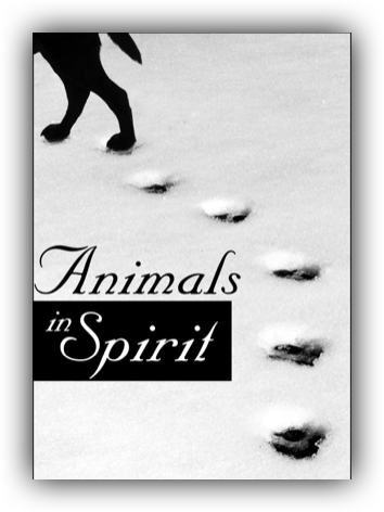 Book cover titled "Animals in Spirit" with a black silhouette of a dog and paw prints in snow.